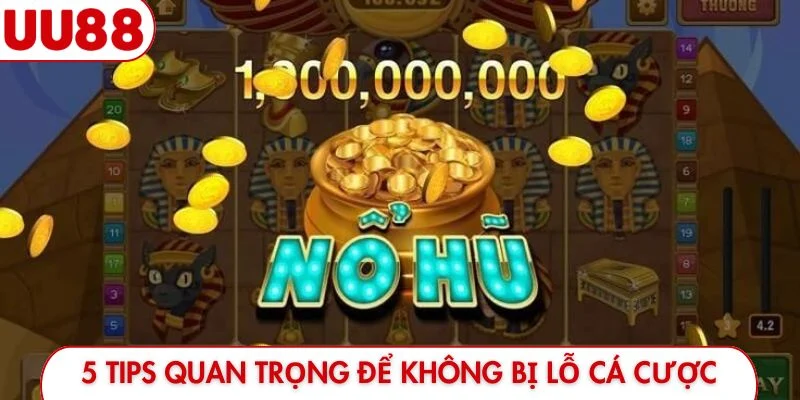 5 tips quan trọng để không bị lỗ cá cược
